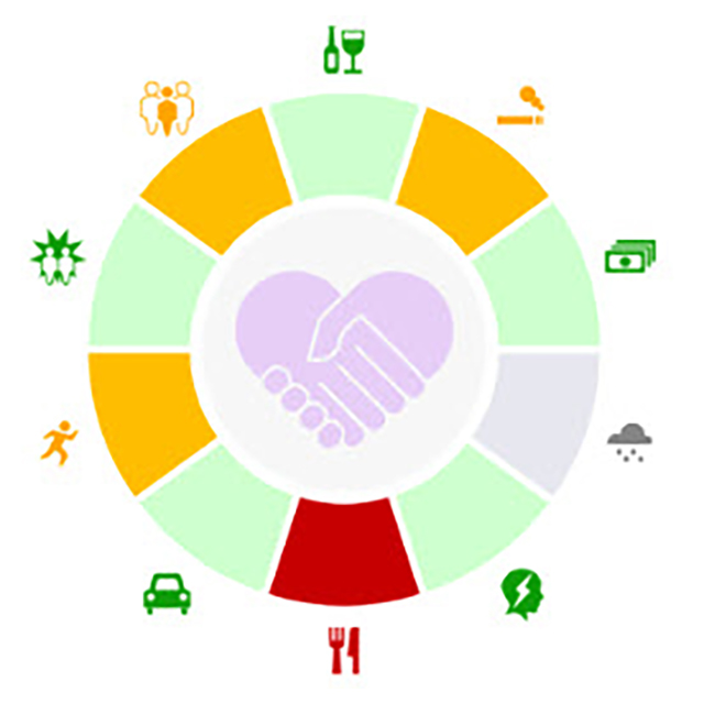 the social determinants of health wheel, showing the ten panels including tobacco use and social interactions. 